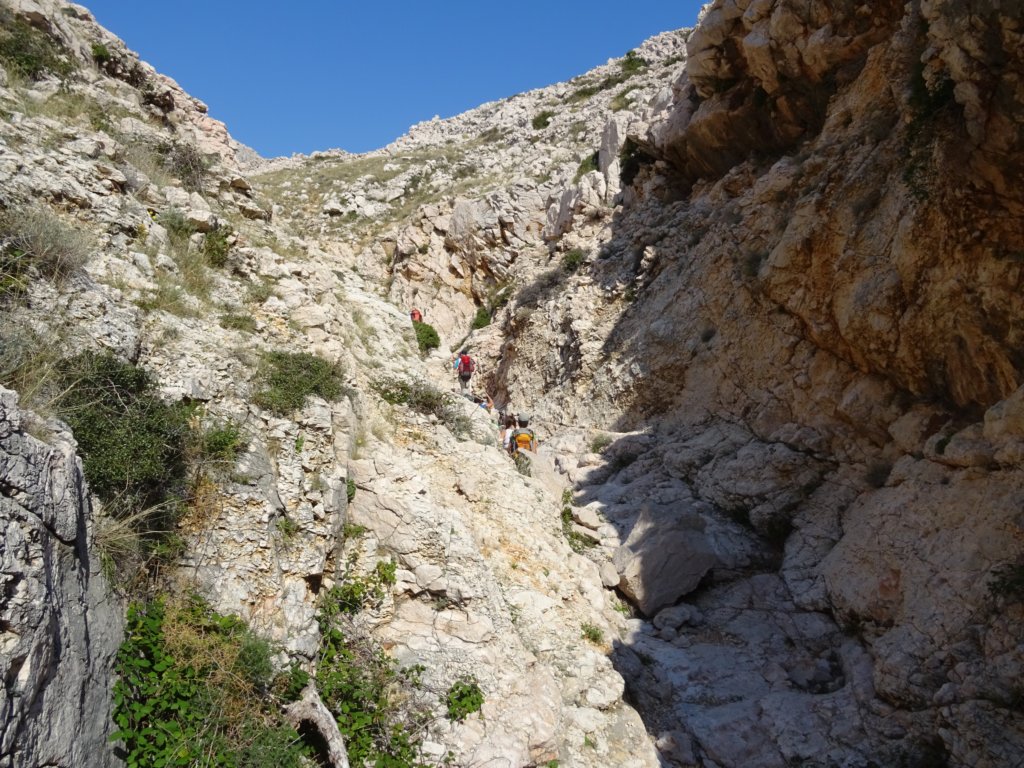 velavrenica56.jpg