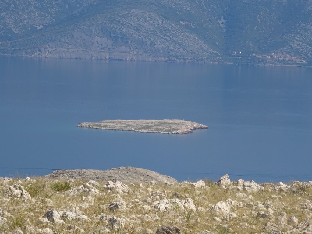 velavrenica73.jpg