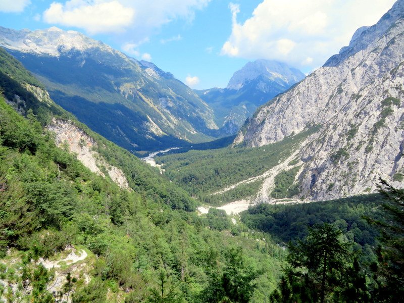 zagorelec33.jpg