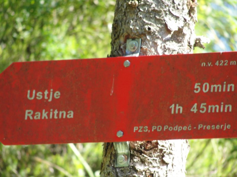 zalainika20.jpg