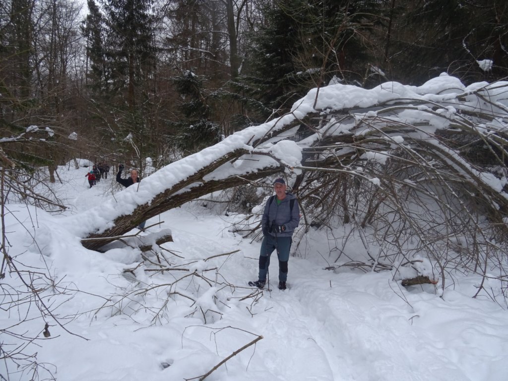 zasavskasvgora11.jpg