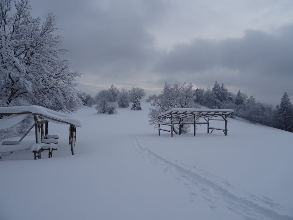 zasavskasvgora49.jpg