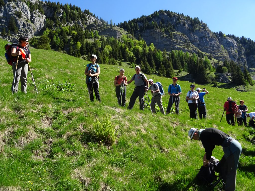 dolinabut13.jpg