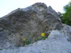 dolinabut34_small.jpg