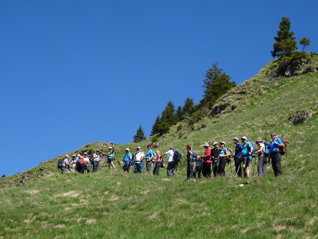 dolinabut40.jpg