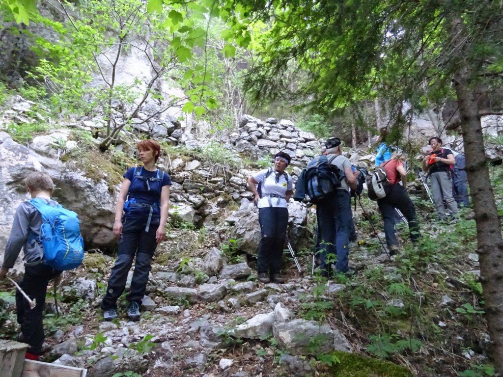 dolinabut6.jpg