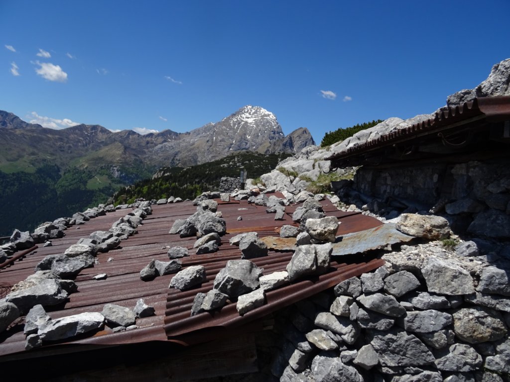 dolinabut79.jpg
