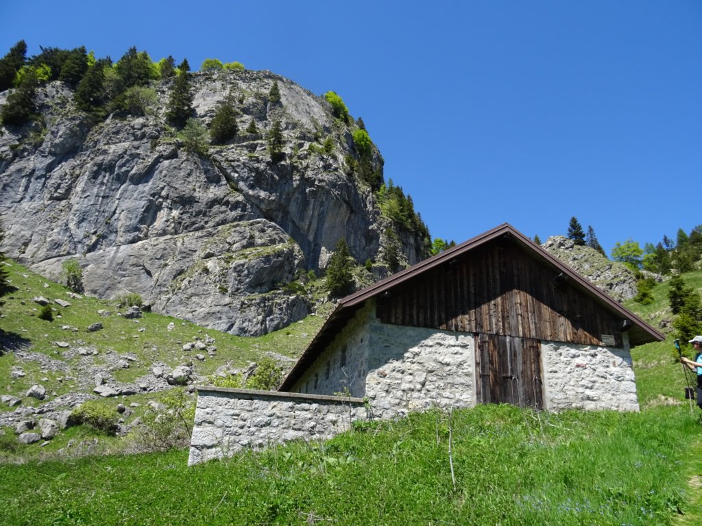 dolinabut83.jpg