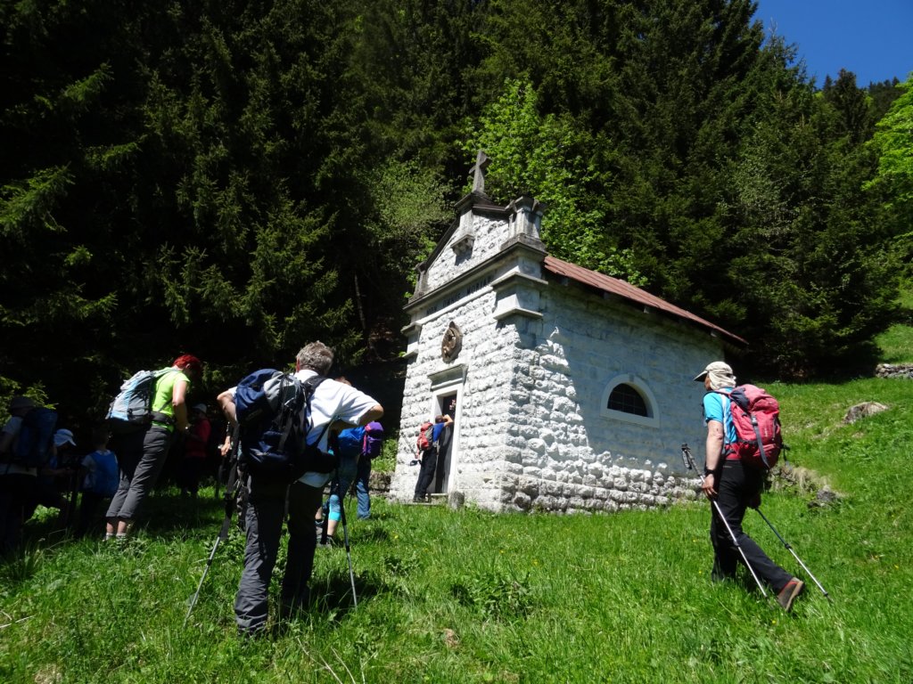 dolinabut86.jpg