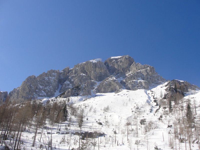 vri64.jpg