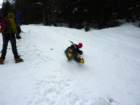 pokljuka201620_small.jpg