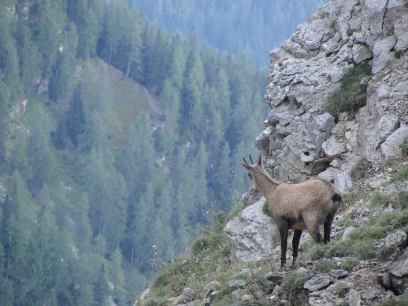 zugspitze14.jpg