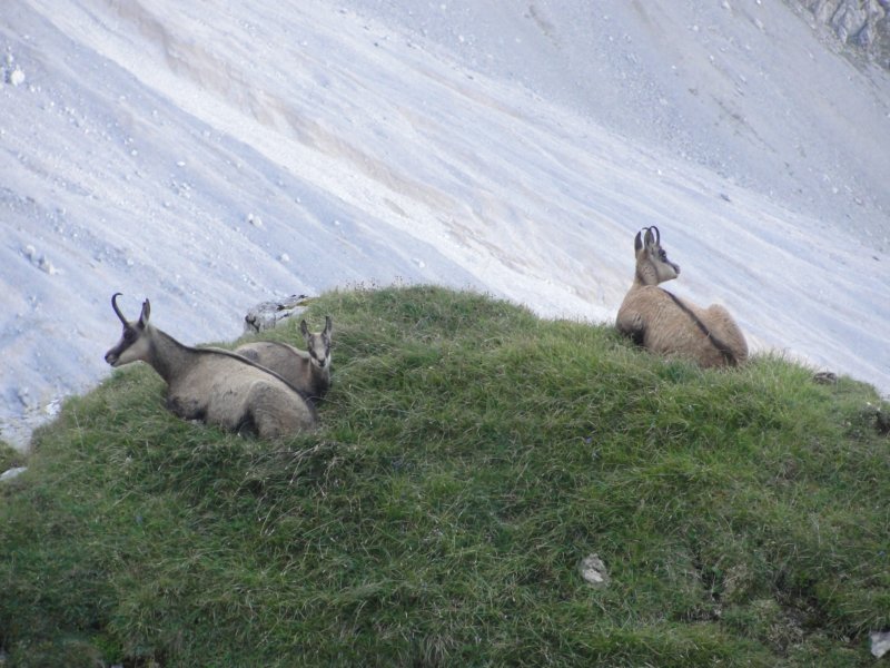 zugspitze16.jpg