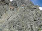 grossglockner033_small.jpg