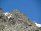 grossglockner066_small.jpg
