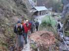 jerebikovec002_small.jpg