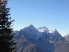 jerebikovec006_small.jpg