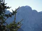 jerebikovec008_small.jpg