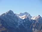 jerebikovec009_small.jpg