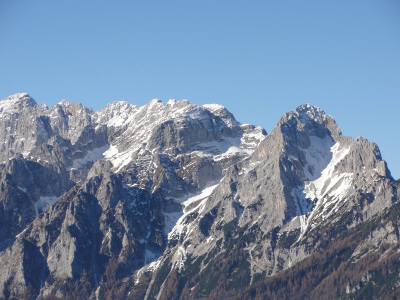 jerebikovec010.jpg