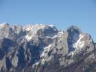jerebikovec010_small.jpg