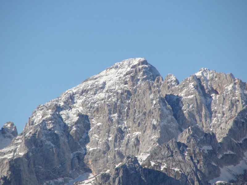 jerebikovec011.jpg