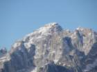 jerebikovec011_small.jpg