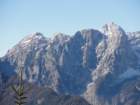 jerebikovec012_small.jpg