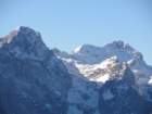 jerebikovec013_small.jpg