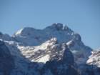 jerebikovec014_small.jpg