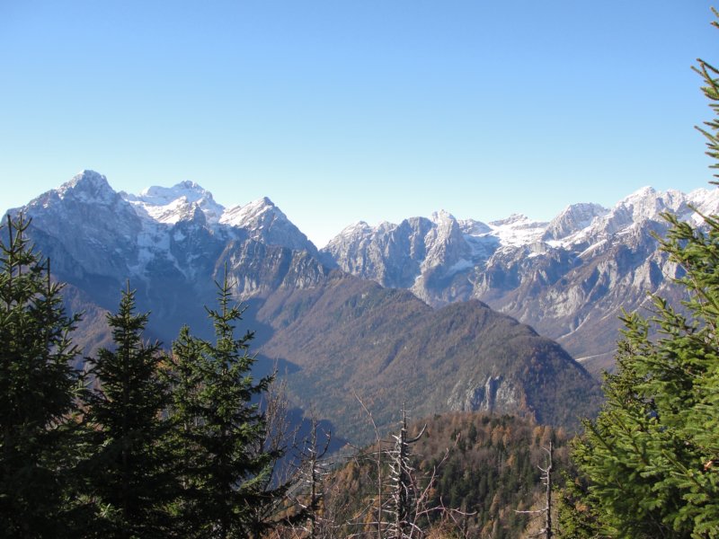 jerebikovec015.jpg