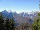 jerebikovec015_small.jpg