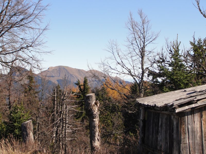 jerebikovec017.jpg