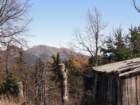 jerebikovec017_small.jpg
