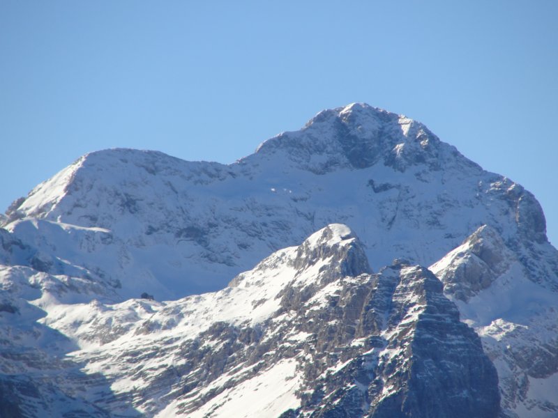 jerebikovec018.jpg