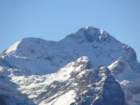 jerebikovec018_small.jpg