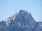 jerebikovec019_small.jpg