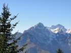 jerebikovec020_small.jpg
