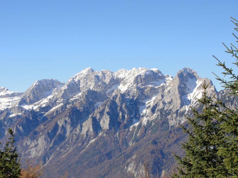 jerebikovec021.jpg