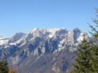 jerebikovec021_small.jpg