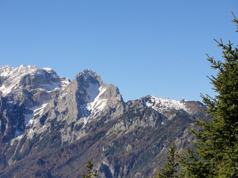 jerebikovec026.jpg