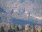 jerebikovec030_small.jpg