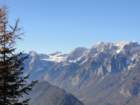 jerebikovec035_small.jpg