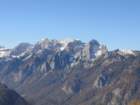 jerebikovec036_small.jpg