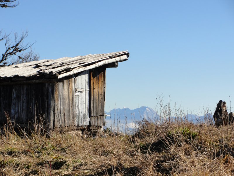 jerebikovec037.jpg