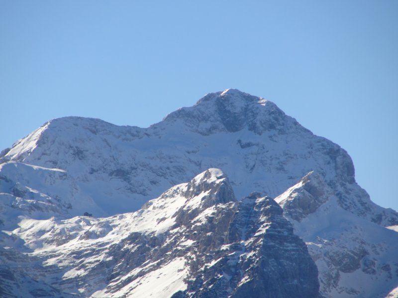 jerebikovec039.jpg