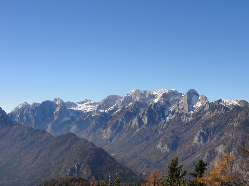 jerebikovec041.jpg
