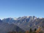 jerebikovec041_small.jpg