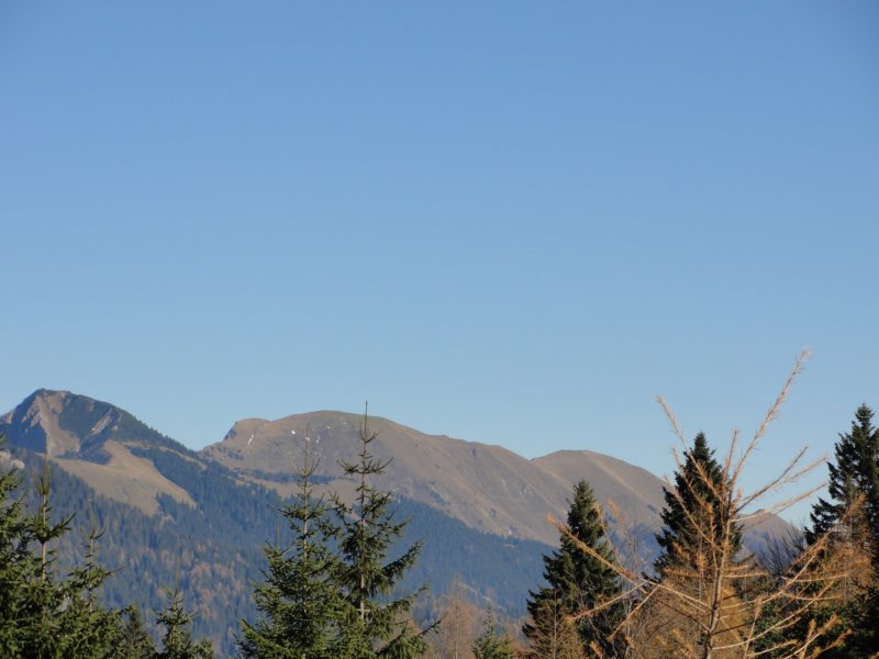 jerebikovec044.jpg