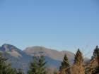 jerebikovec044_small.jpg